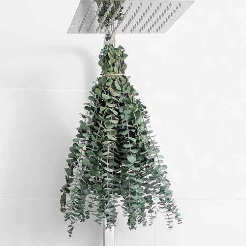 10 Pcs Dried Eucalyptus Stems 17